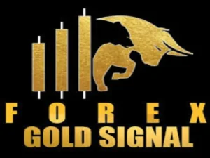 Forex Gold Signal WhatsApp Group Links